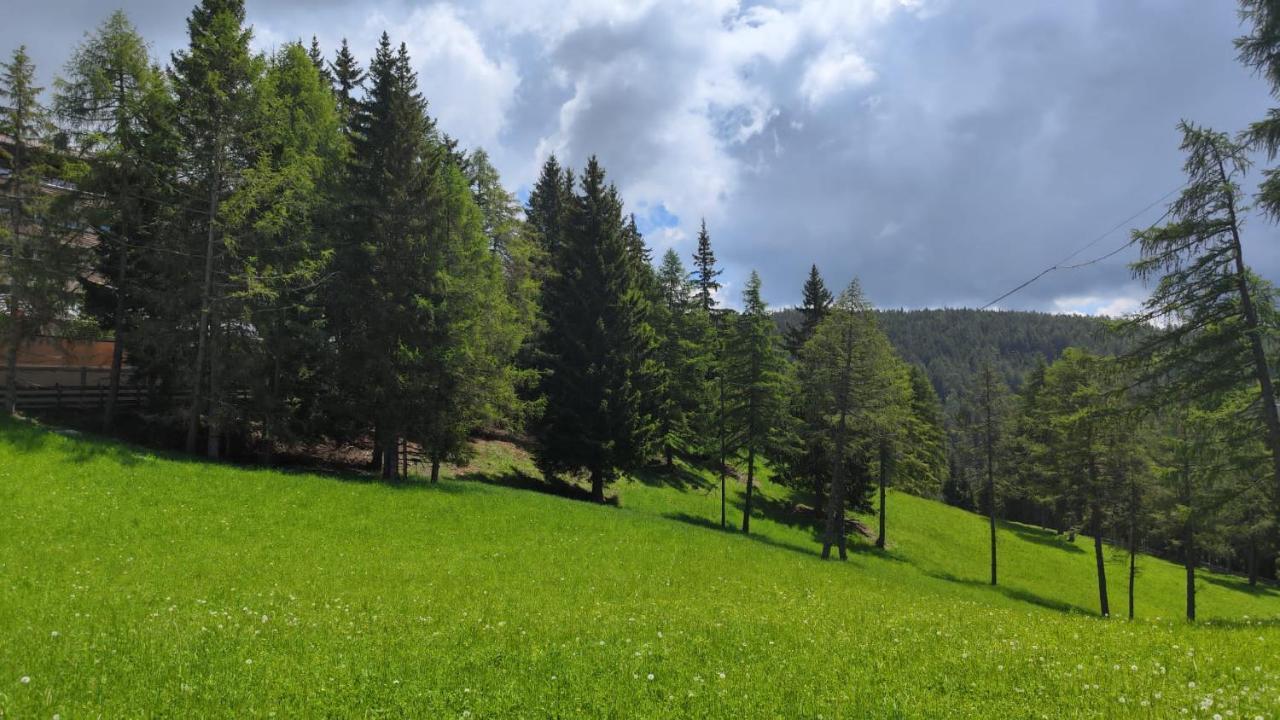Ferienwohnung Bergerr Hafling Esterno foto